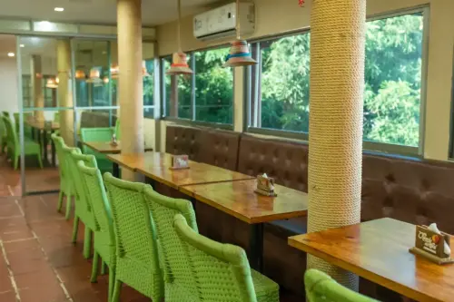 Interior de un restaurante con sillas tejidas de color verde, mesas de madera y columnas decoradas con cuerda, rodeado de ventanales que ofrecen vista a la vegetación.